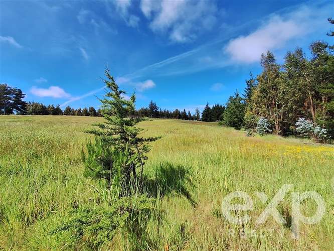 Parcela 3 has. en venta en Pichilemu - Imagen 21