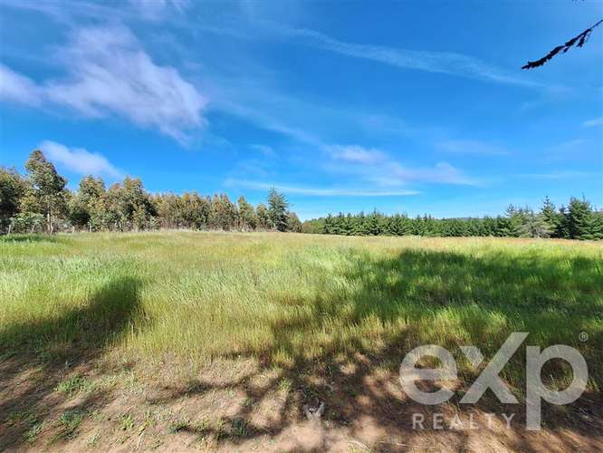 Parcela 3 has. en venta en Pichilemu - Imagen 9