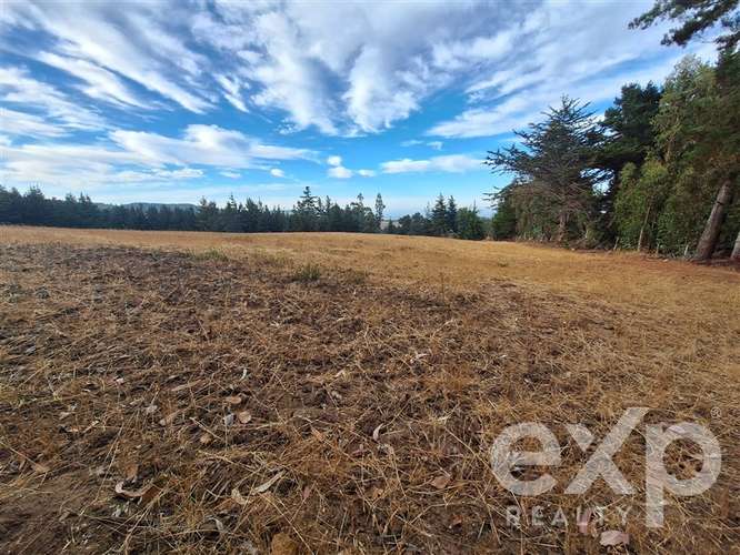 Parcela 3 has. en venta en Pichilemu - Imagen 15