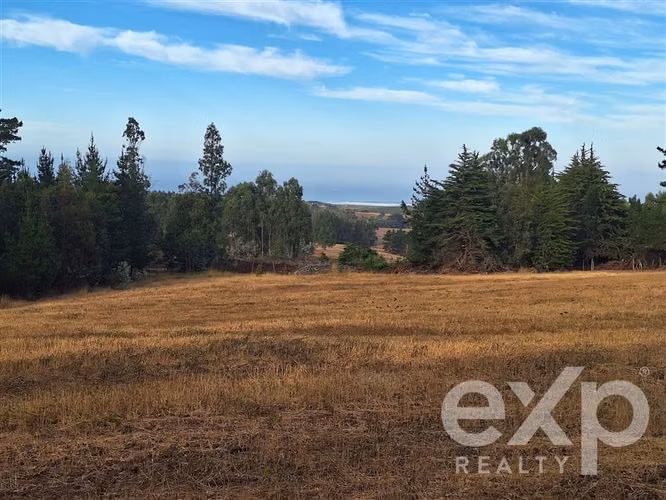 Parcela 3 has. en venta en Pichilemu