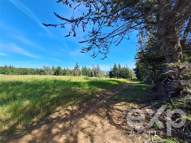 Agrícola en venta 3 has. en Pichilemu