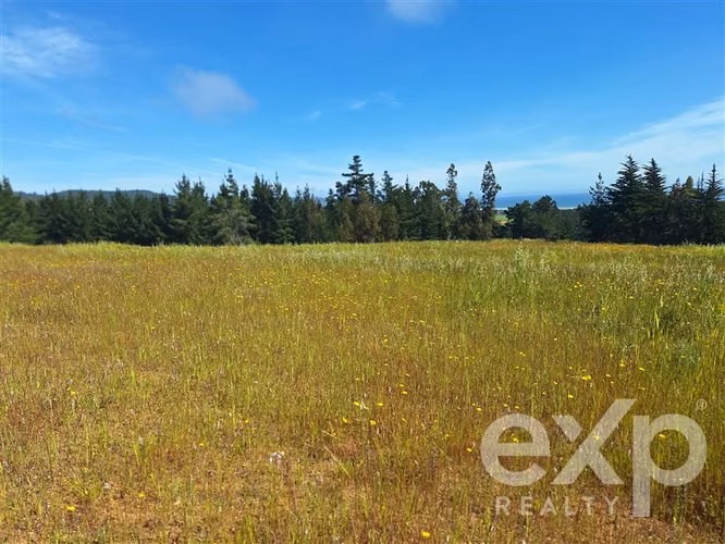 Agrícola en venta 3 has. en Pichilemu