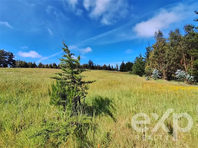 Agrícola en venta 3 has. en Pichilemu - Imagen 21