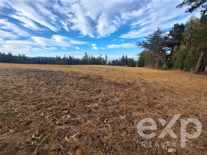 Agrícola en venta 3 has. en Pichilemu