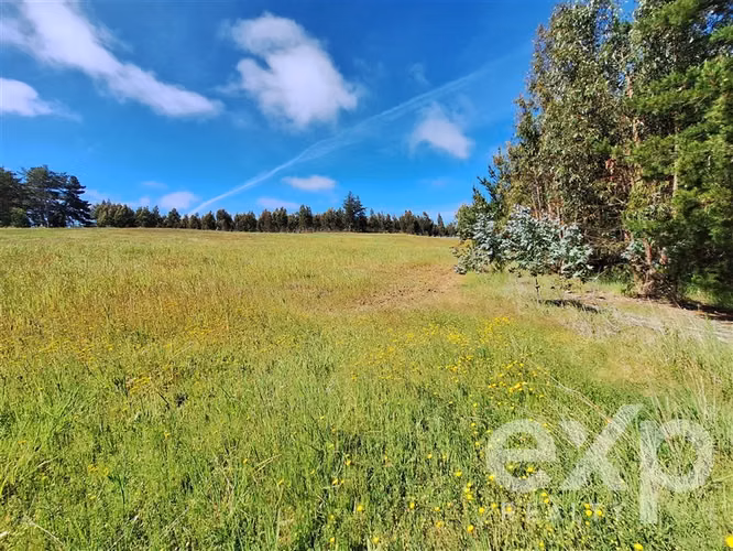 Agrícola en venta 3 has. en Pichilemu