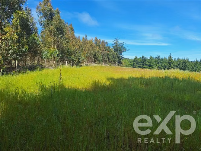 Agrícola en venta 3 has. en Pichilemu - Imagen 6