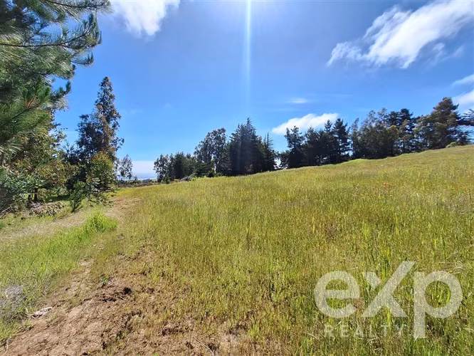 Agrícola en venta 3 has. en Pichilemu - Imagen 23