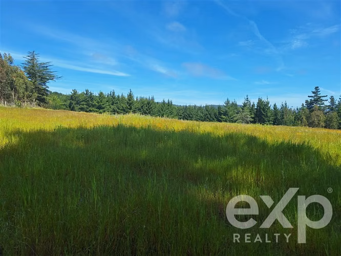 Agrícola en venta 3 has. en Pichilemu - Imagen 7