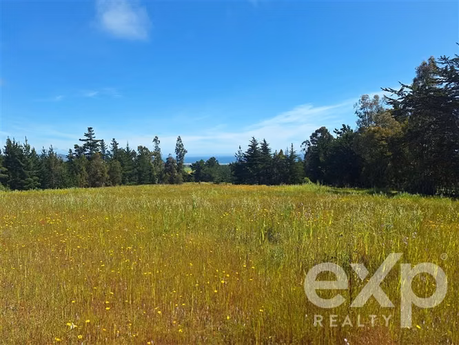 Agrícola en venta 3 has. en Pichilemu
