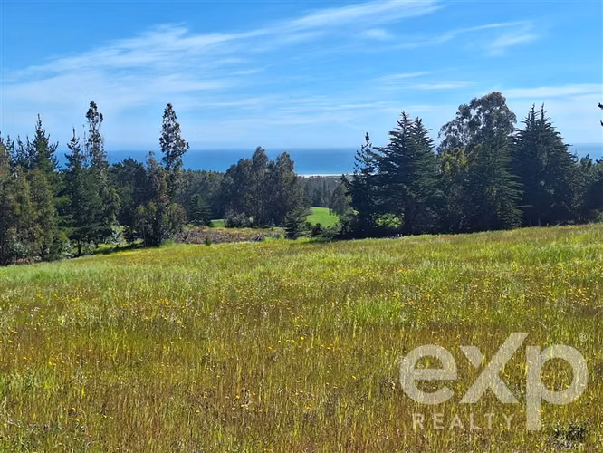 Agrícola en venta 3 has. en Pichilemu - Imagen 3