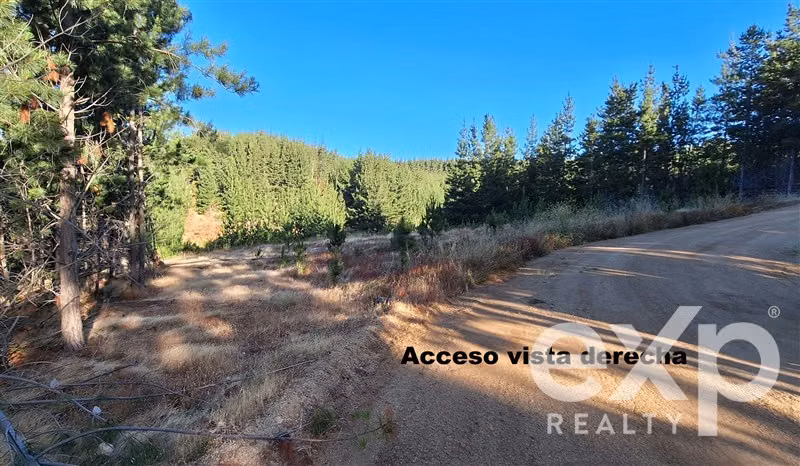 Vende Parcela L296 10.500m2 con vista al mar, Pichilemu - Imagen 16