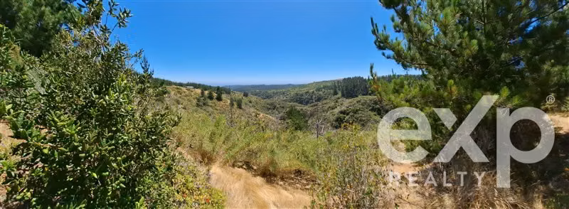 Vende Parcela L296 10.500m2 con vista al mar, Pichilemu - Imagen 13