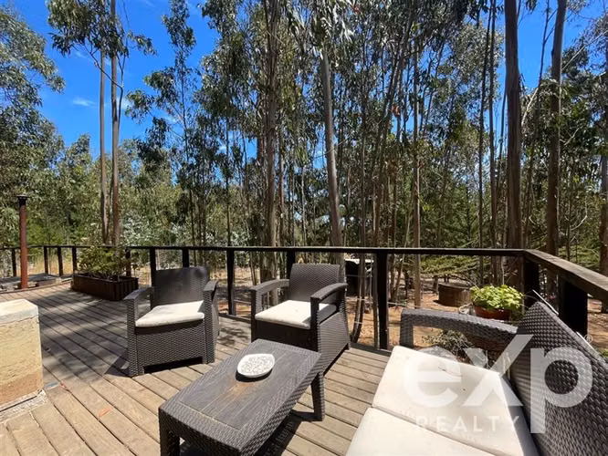 Boutique Lodge Con Cabañas En Funcionamiento