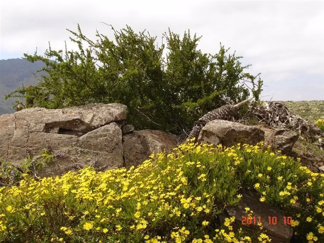 Parcela en venta en Ovalle, Mirador de Talinay I