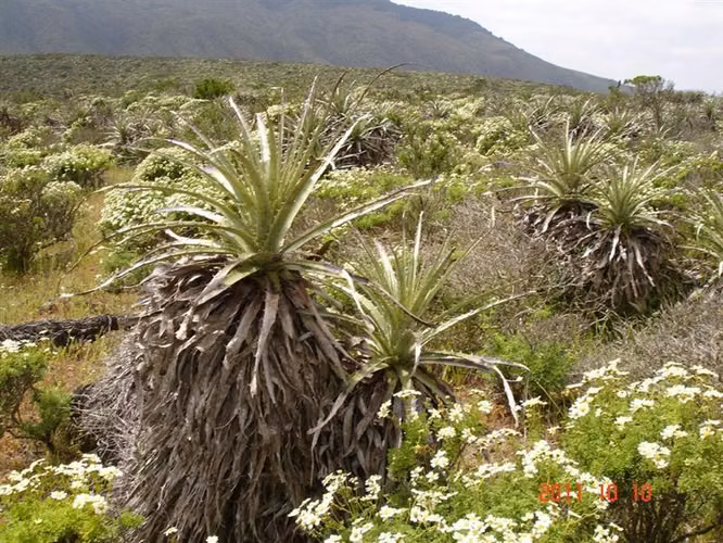 Parcela en venta en Ovalle, Mirador de Talinay I