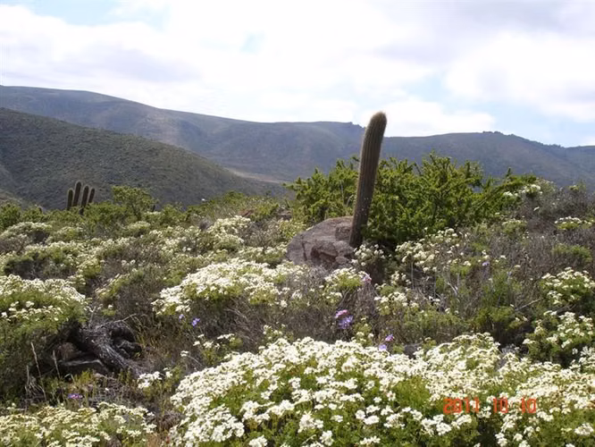Parcela en venta en Ovalle, Mirador de Talinay I