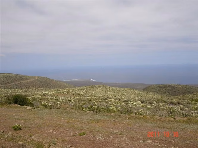 Parcela en venta en Ovalle, Mirador de Talinay I