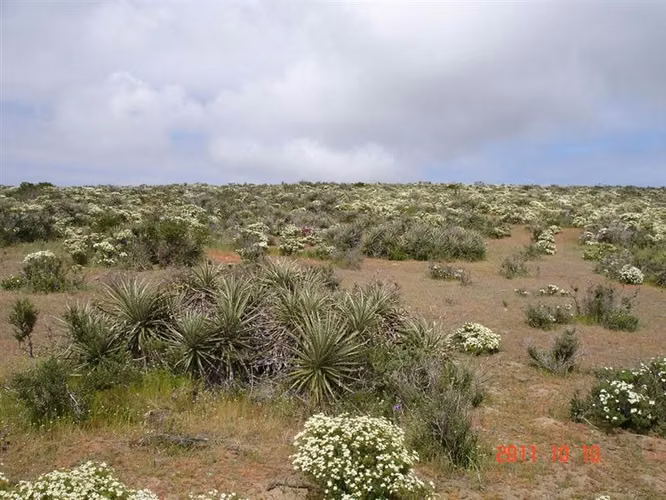 Parcela en venta en Ovalle, Mirador de Talinay I