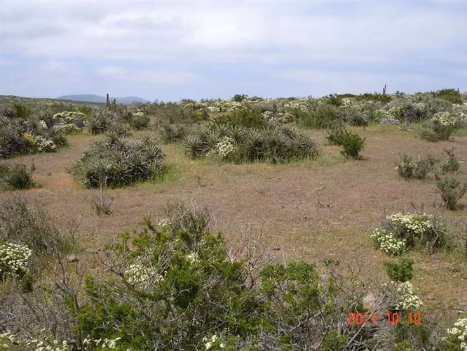 Parcela en venta en Ovalle, Mirador de Talinay I