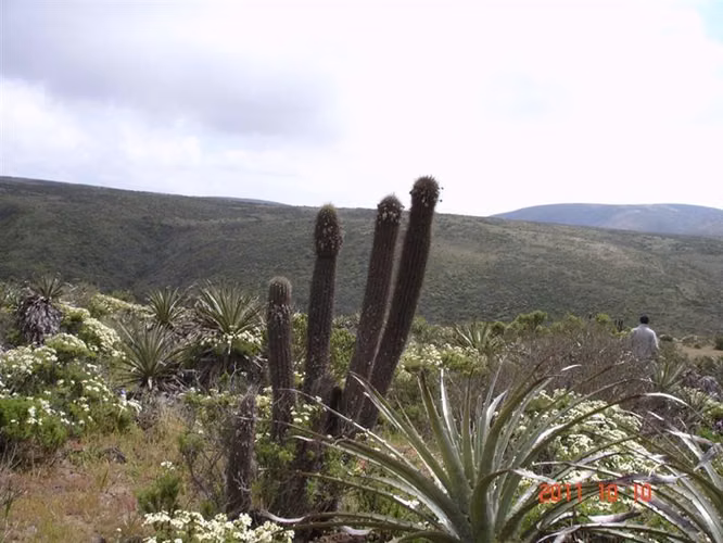 Parcela en venta en Ovalle, Mirador de Talinay I