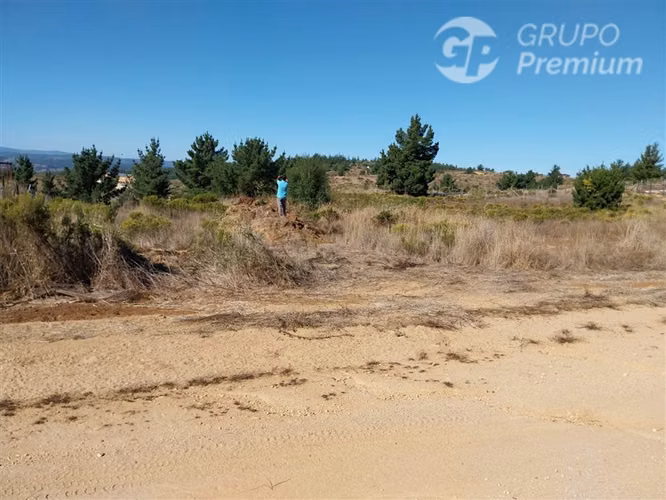 Parcela en venta en Paredones - Imagen 29