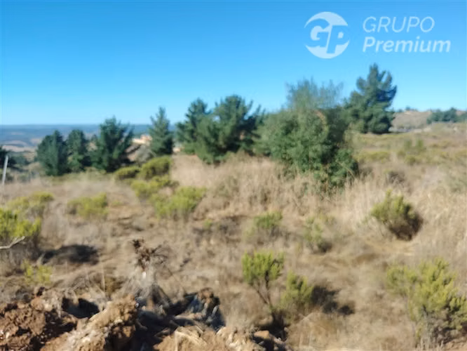 Parcela en venta en Paredones - Imagen 3