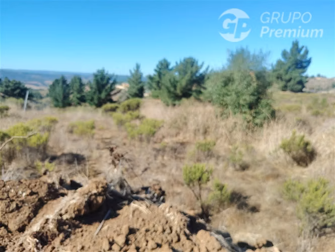 Parcela en venta en Paredones - Imagen 4