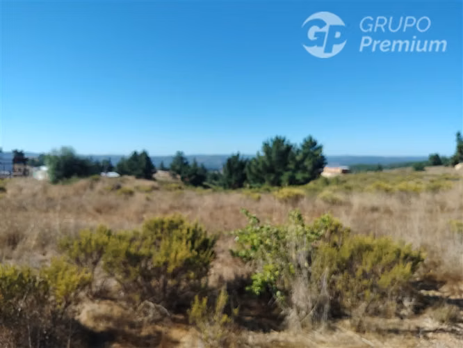 Parcela en venta en Paredones - Imagen 10