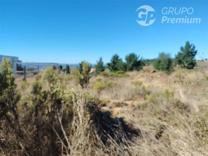 Parcela en venta en Paredones - Imagen 19