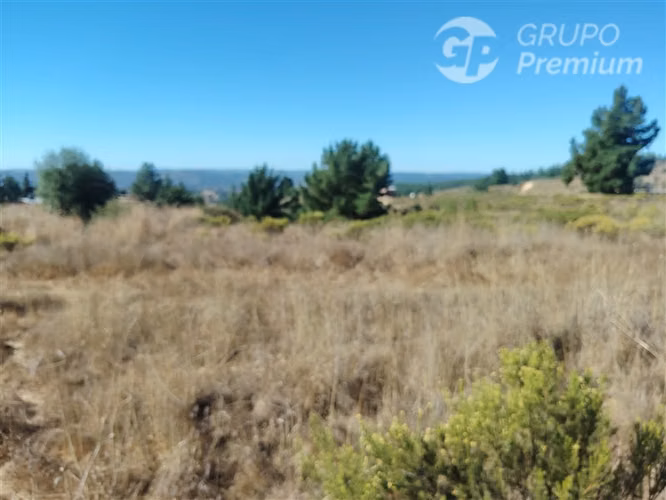 Parcela en venta en Paredones - Imagen 9