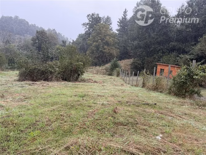 Venta-Parcela-Villarrica - Imagen 4