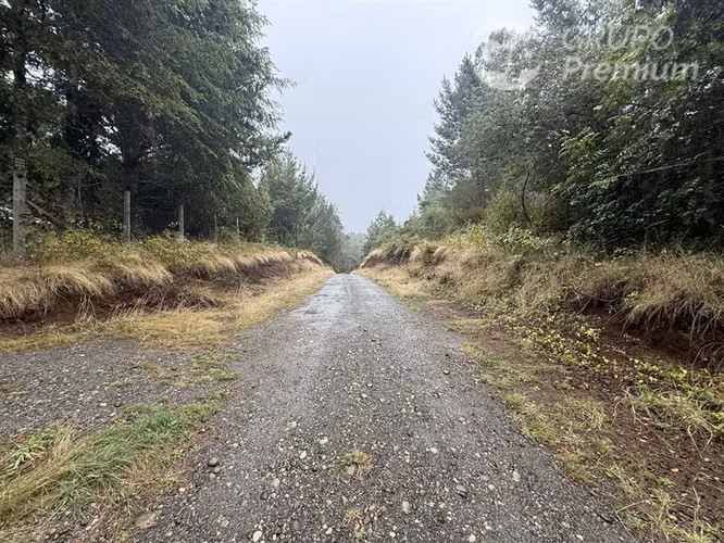 Venta-Parcela-Villarrica