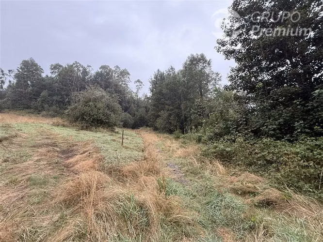 Venta-Parcela-Villarrica