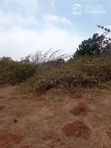 Parcela en venta en Valparaíso - Imagen 4