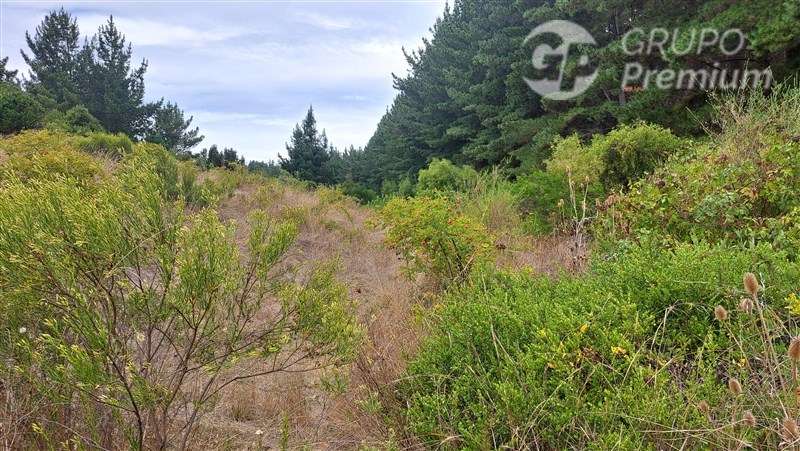 Parcela en venta en Laja. Sector Rinconada. Ruta Q34.