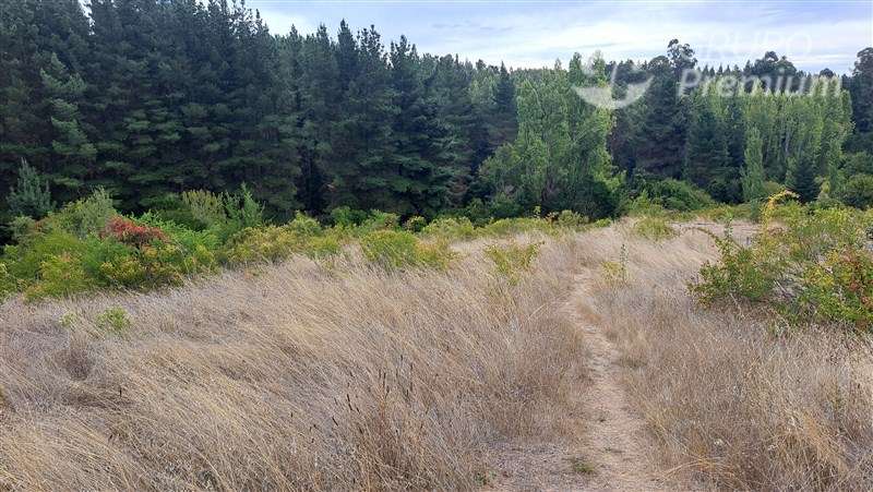 Parcela en venta en Laja. Sector Rinconada. Ruta Q34.