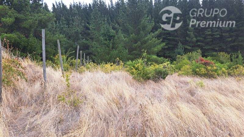 Parcela en venta en Laja. Sector Rinconada. Ruta Q34.