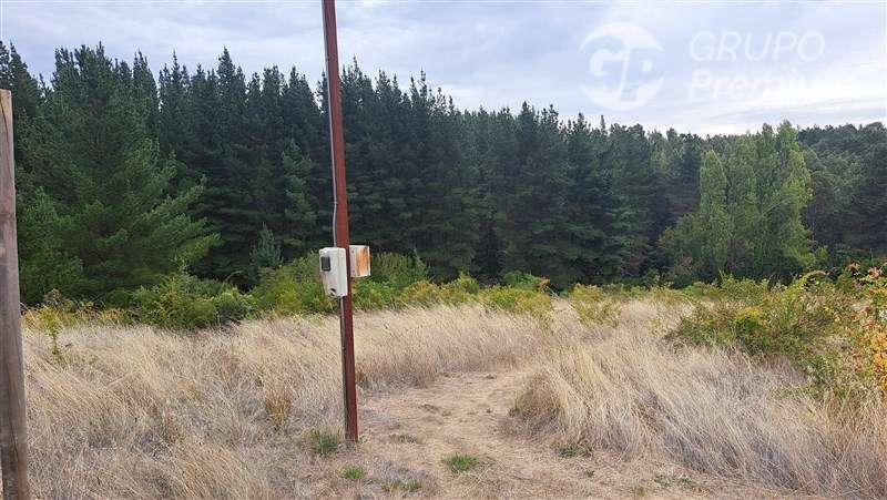 Parcela en venta en Laja. Sector Rinconada. Ruta Q34.