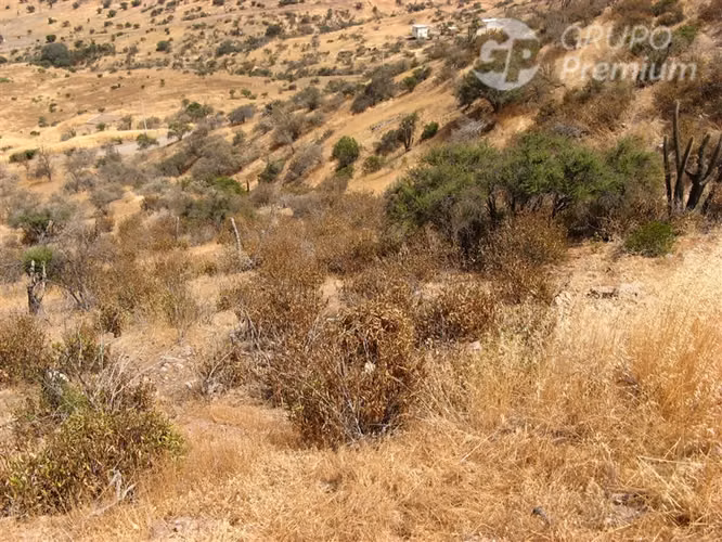 Terreno en venta en Llay Llay - Fundo La Estrella