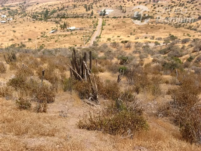 Terreno en venta en Llay Llay - Fundo La Estrella