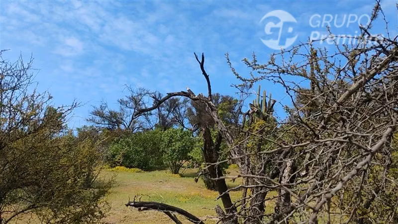 Parcela en venta 10000m2 en Curacaví - Imagen 3