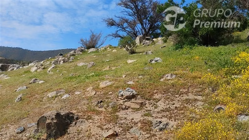 Parcela en venta 10000m2 en Curacaví - Imagen 8