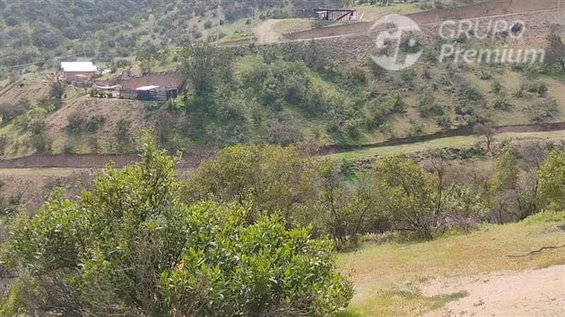 Parcela en venta 10000m2 en Curacaví - Imagen 4