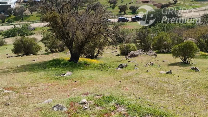 Parcela en venta 10000m2 en Curacaví - Imagen 2