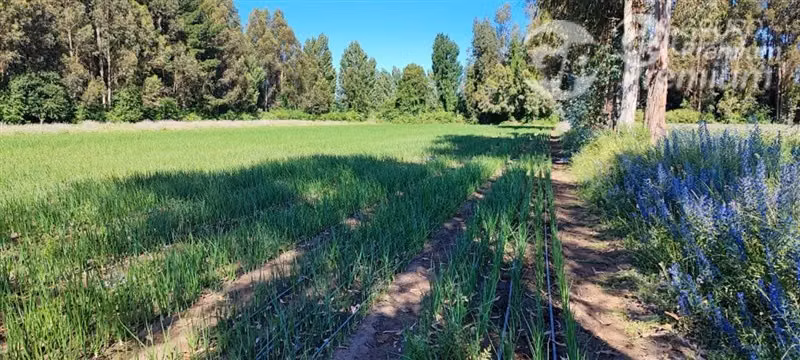 Parcela en venta en San Ignacio