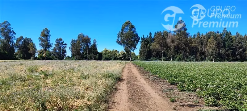 Parcela en venta en San Ignacio