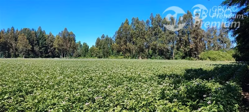Parcela en venta en San Ignacio
