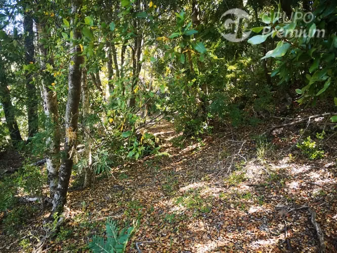 Parcela en venta en Pinto