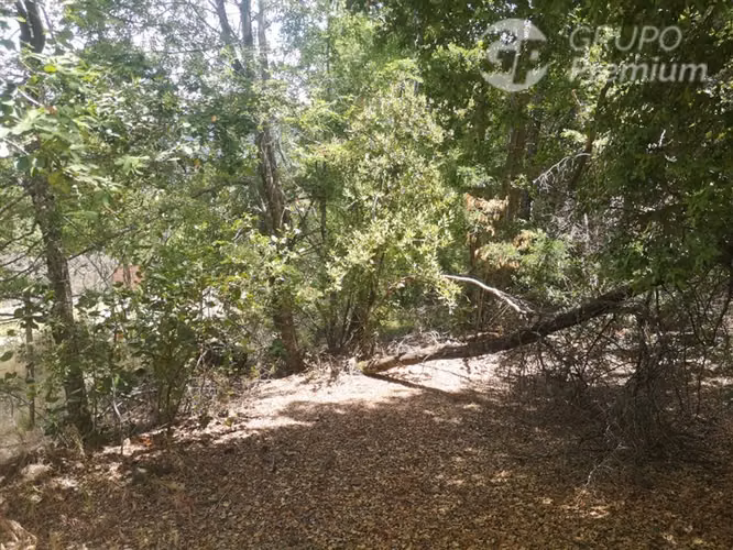 Parcela en venta en Pinto