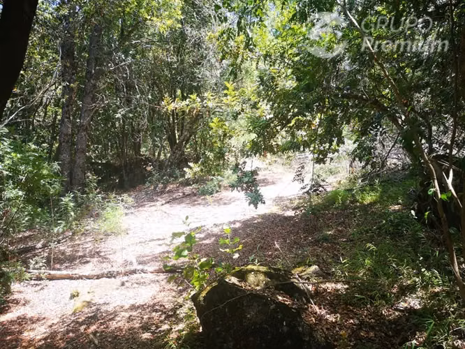 Parcela en venta en Pinto
